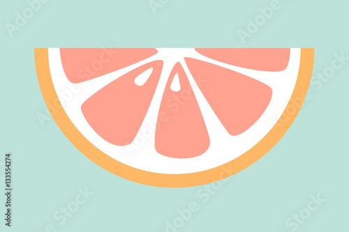 Piece of grapefruit on blue background. Vector.