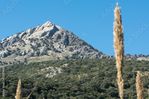Sierra de Ronda © didiophotography