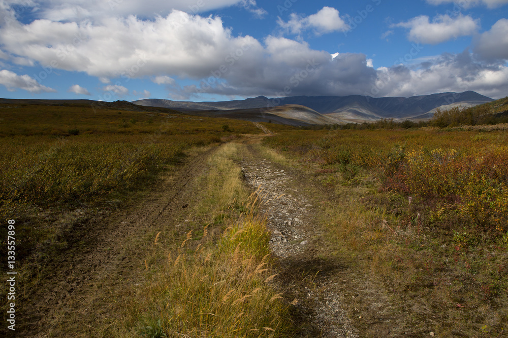 Country road leading into the mountains. Autumn in the mountains. Polar Urals. Russia.