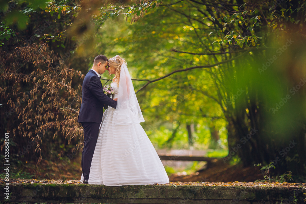 Bride and groom in a park kissing.couple newlyweds bride and groom at a wedding in nature green forest are kissing photo portrait.Wedding Couple