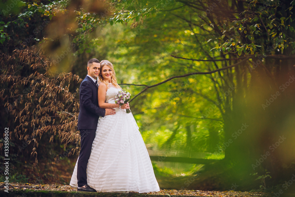Bride and groom in a park kissing.couple newlyweds bride and groom at a wedding in nature green forest are kissing photo portrait.Wedding Couple