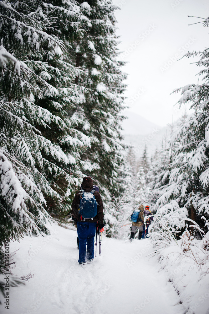 Group of friends trekking in winter snowy mountains
