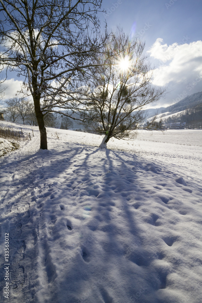 Obraz premium Schnee Winter