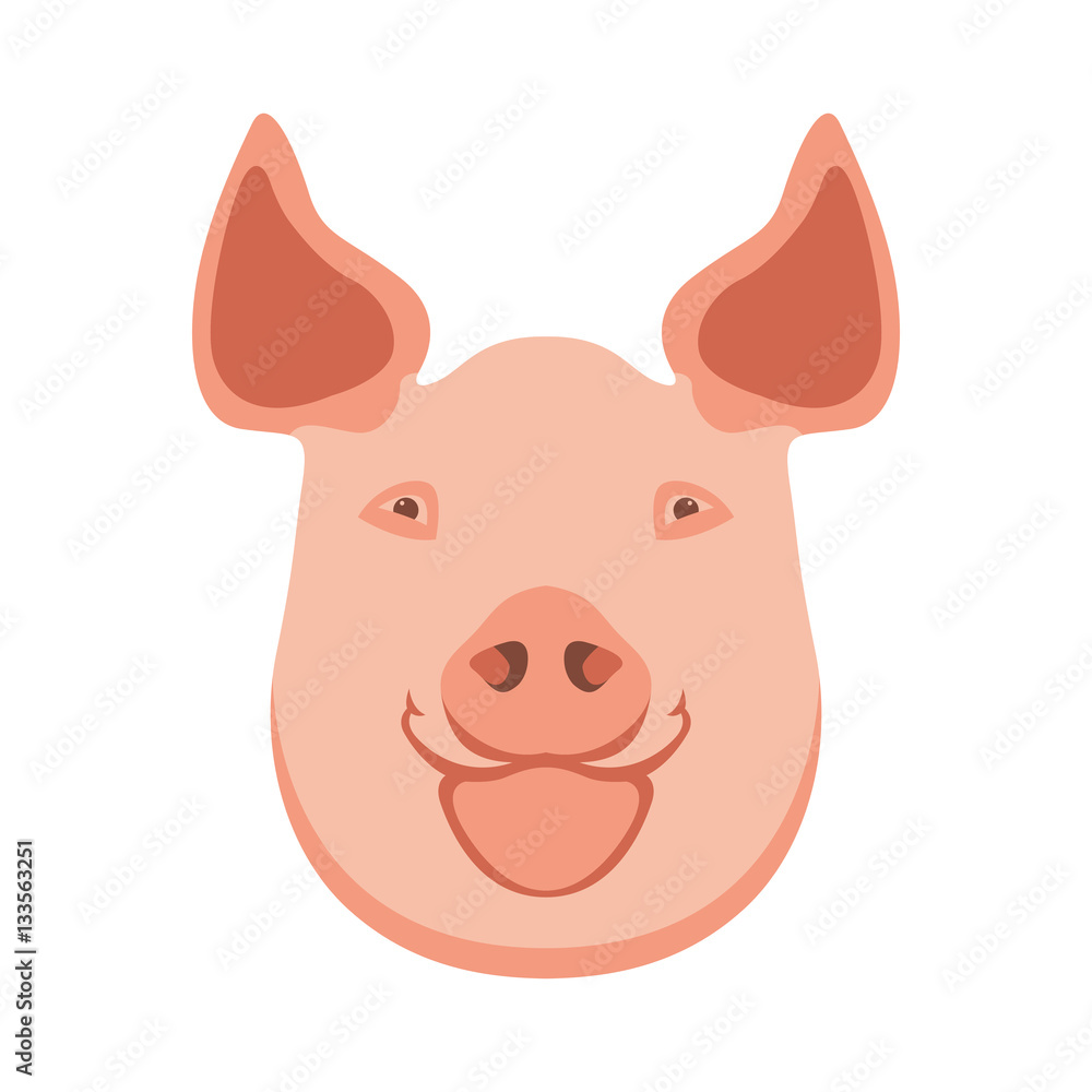 pig head vector illustration Flat style pig head vector illustration Flat style
