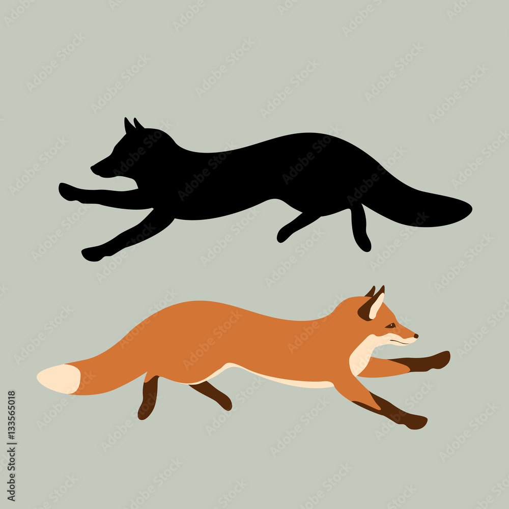 Fox vector illustration style Flat set Fox vector illustration style Flat set