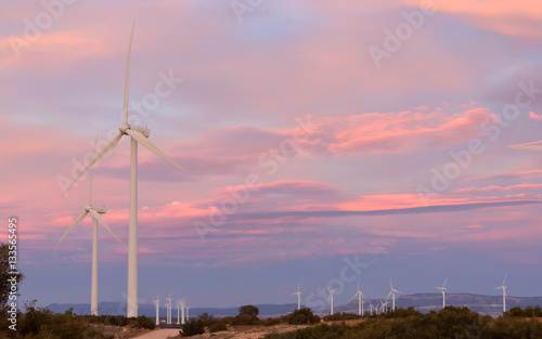 Wind energy park at sunset photo