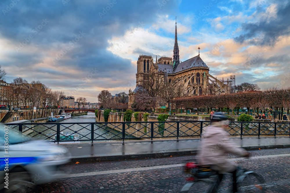 Fototapeta premium Notre Dame de Paris