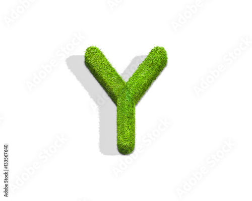 Grass letter Y in uppercase format from top angle with shadow on ground.