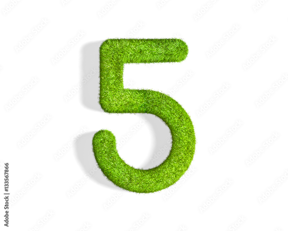 Grass number 5 from top angle with shadow on ground. Grass number 5 from top angle with shadow on ground.
