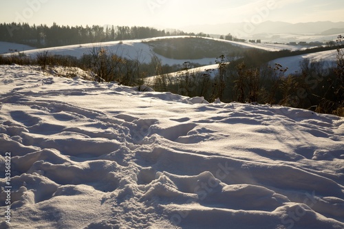 Nature covered by snow during sunny winter day. Slovakia © Valeria