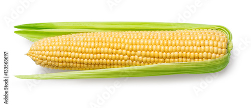 Ear of corn isolated on a white