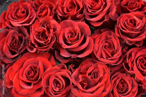 bouquet di rose rosse