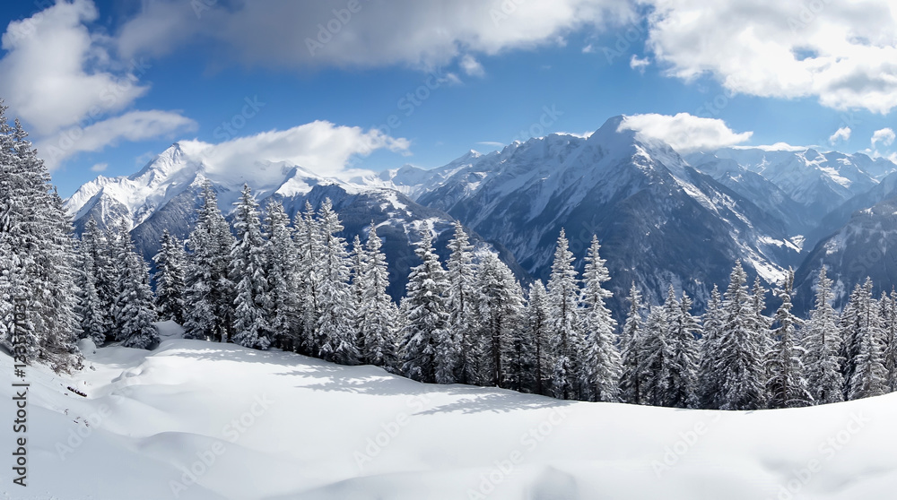 Panorama einer Winterlandschaft in den Alpen