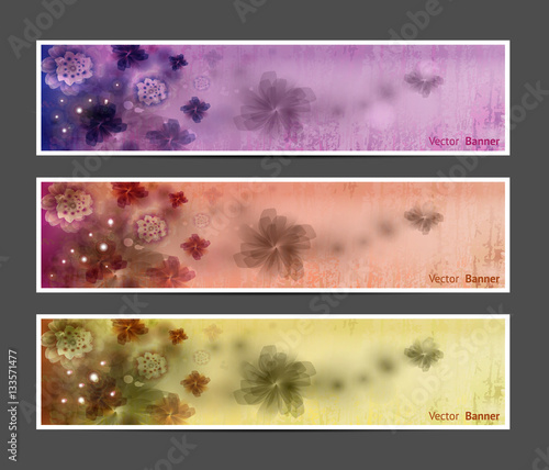 Abstract Flower Vector Background / Brochure Template / Banner. eps 10.