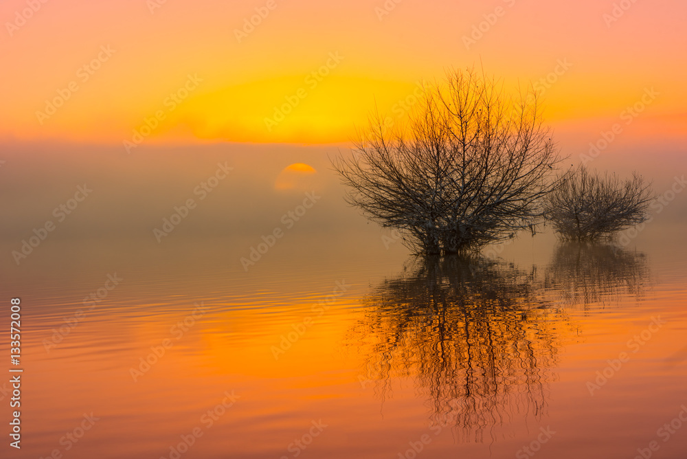 Stimmungsvoller Sonnenaufgang am Wasser bei Nebel