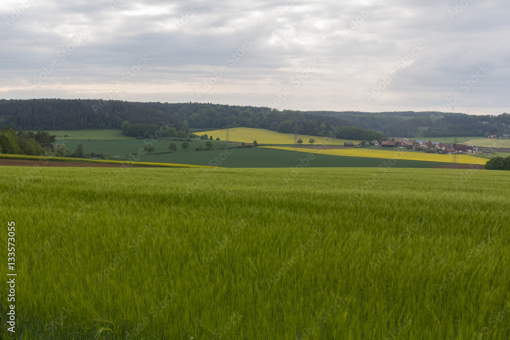 Fototapeta premium spring in bavaria