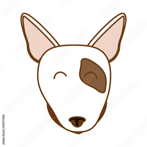 bull terrier dog face icon over white background. colorful design. vector illustration