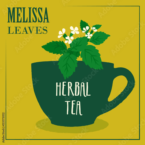 Herbal tea with Melissa leaves. The design of the label. Vector