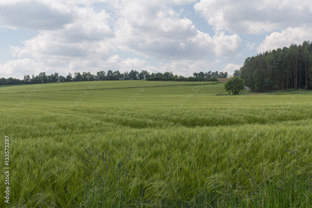 spring in bavaria