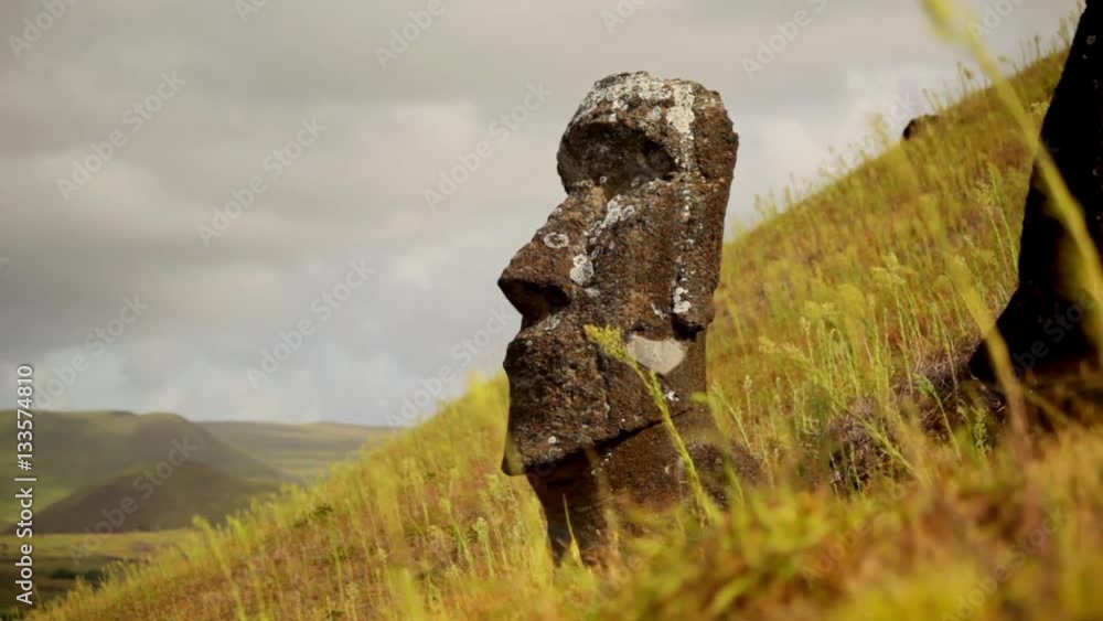 Easter Island Head Standing Tall Stock Video Adobe Stock