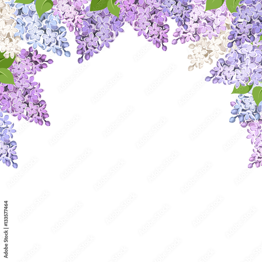 Vector background with purple, pink, blue and white lilac flowers. Vector background with purple, pink, blue and white lilac flowers.