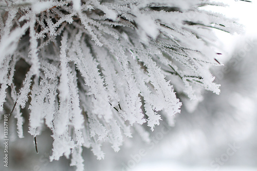 Snow Pieces