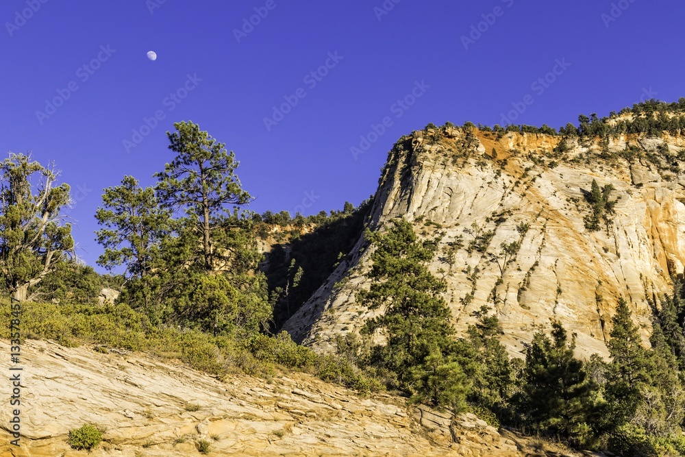 Moon Over Bryce / Bryce Canyon National Park in Summer Moon Over Bryce / Bryce Canyon National Park in Summer