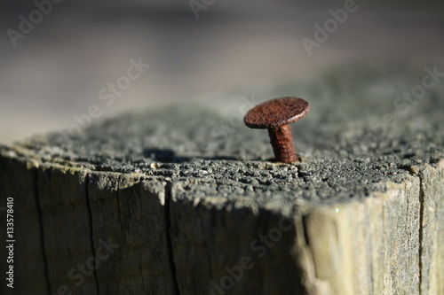 Rusty nail sticking out of fence post.