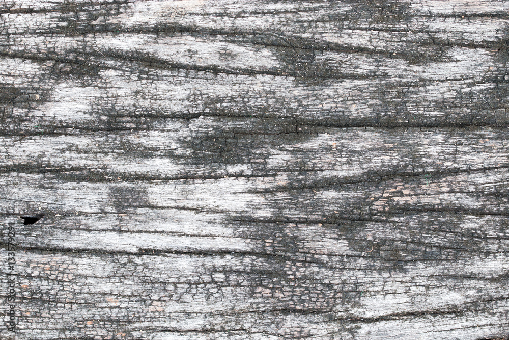 Fototapeta premium wood texture. background old panels