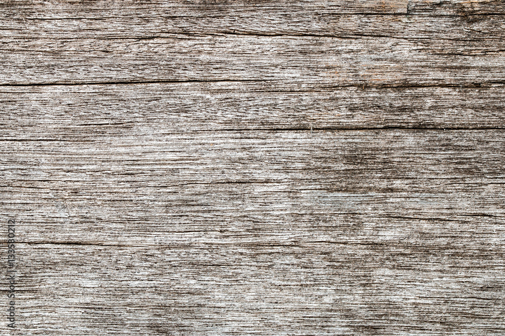 wood texture. background old panels wood texture. background old panels