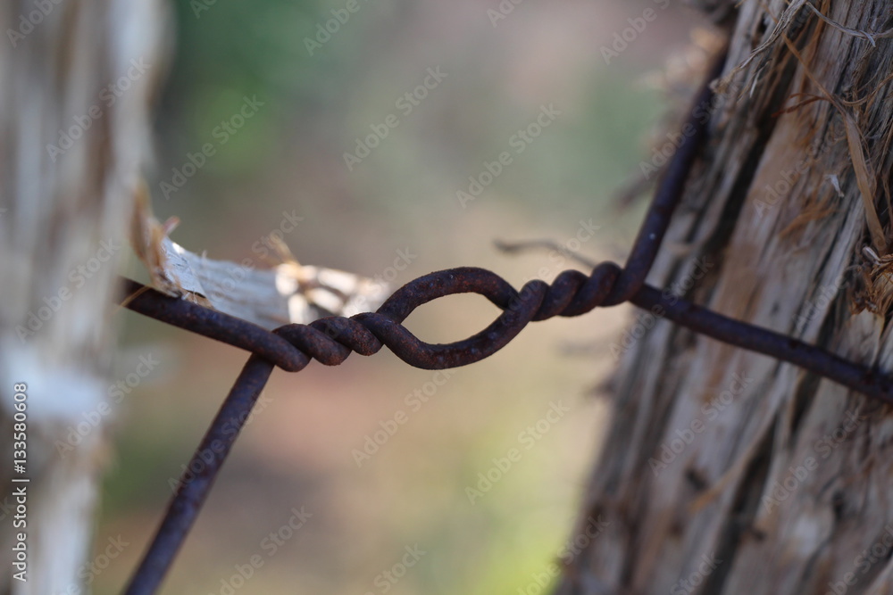 Rusty, twisted fence wire between two wooden posts. Rusty, twisted fence wire between two wooden posts.
