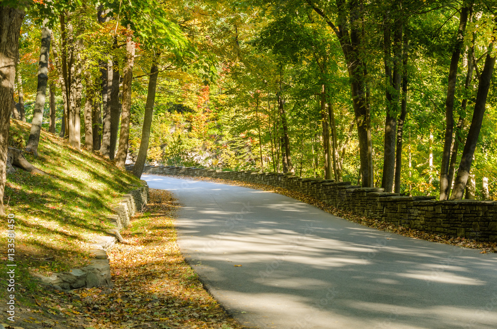 Fototapeta premium Deserted Mountain Road on a Sunny Autumn Day