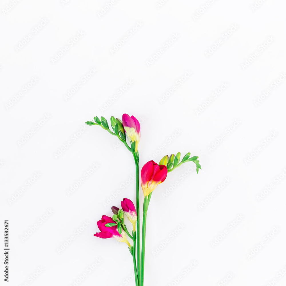 Beautiful freesia on background. Flat lay, Top view. Beautiful freesia on background. Flat lay, Top view.