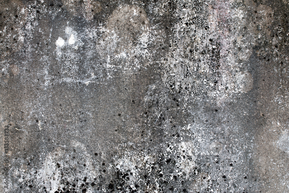 Obraz premium white concrete wall texture