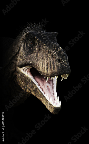 A Tyrannosaurus Rex head piercing through the darkness. 3d rendering © Digital Storm