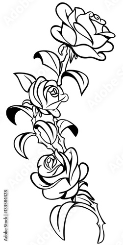 Roses tattoo Vector