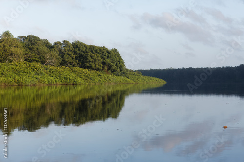 Fototapeta Naklejka Na Ścianę i Meble -  Le fleuve Sinnamary et la forêt tropicale avant d'arriver à son estuaire en Guyane française