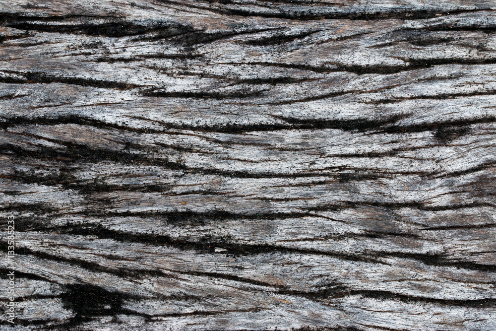 wood texture. background old panels wood texture. background old panels