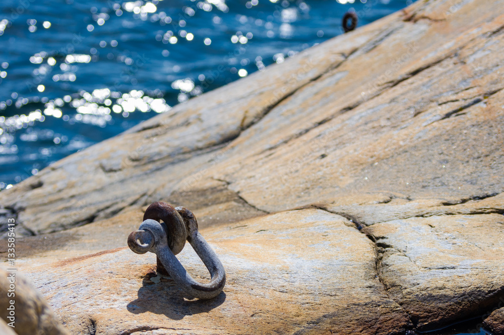 Fototapeta premium Bergöglan