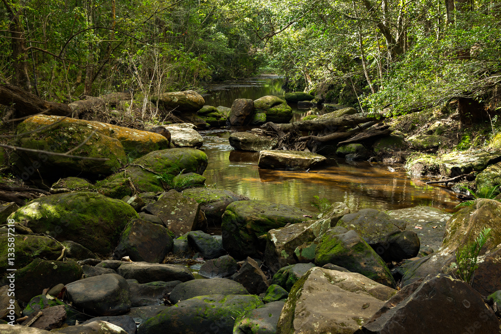 Landscape of Phukradung national park of Thailand Landscape of Phukradung national park of Thailand