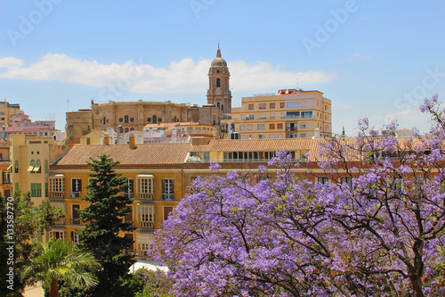 Catedral de Málaga desde la Alzacabza photo