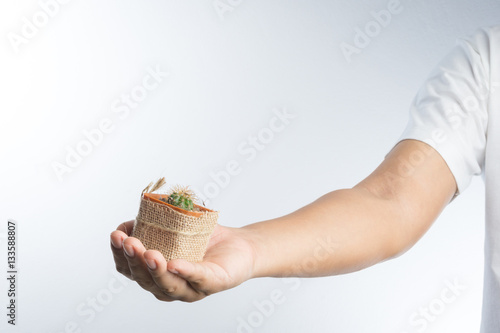 Hand with cactus