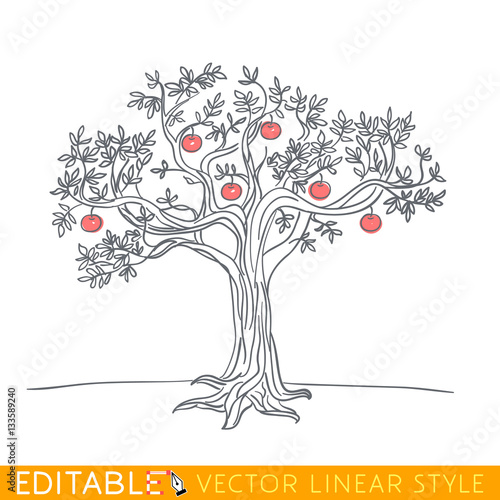 Apple tree drawing. Editable line sketch. Stock vector illustration.