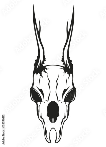 skull roe