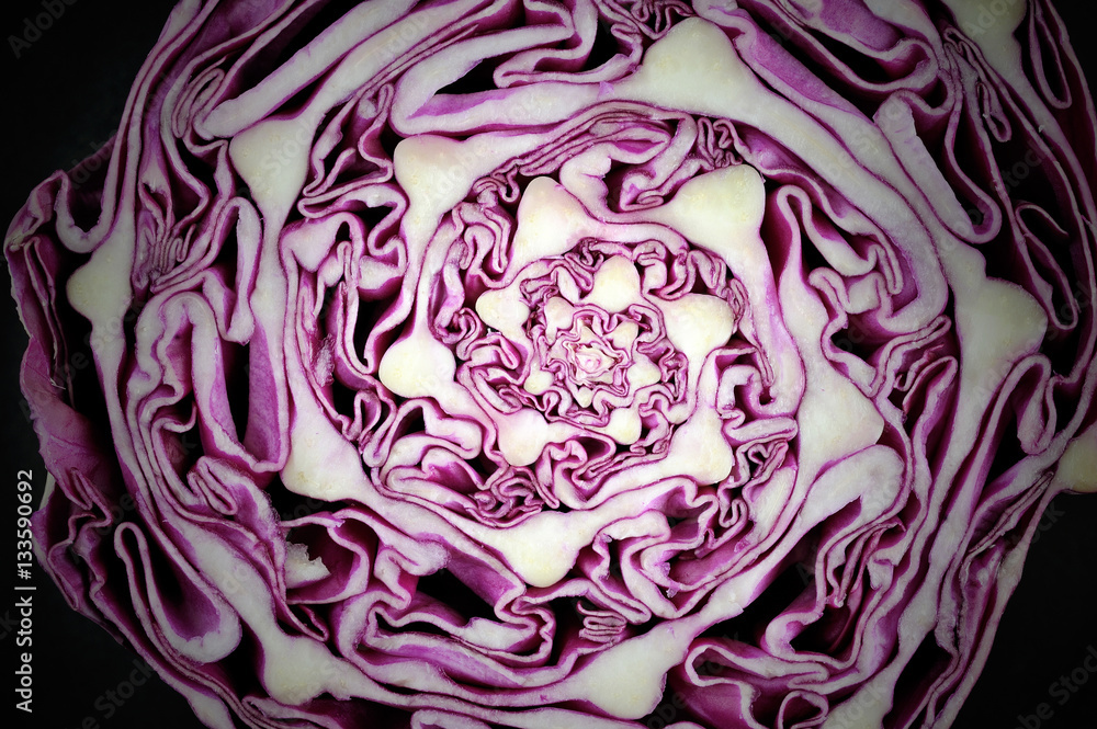 Fototapeta premium Red cabbage slice isolated on black, macro
