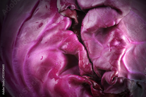 macro detailed of red cabbage