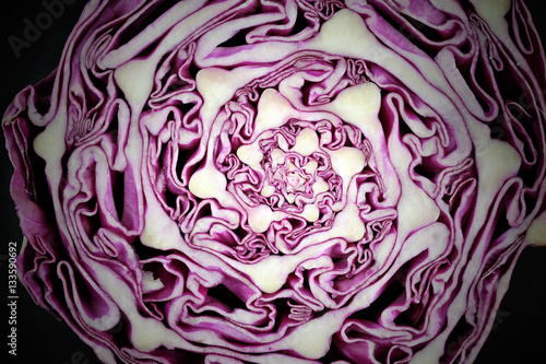 Red cabbage slice isolated on black, macro