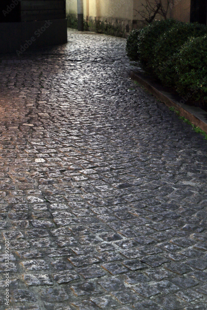 Obraz premium 神楽坂の石畳 Kagurazaka