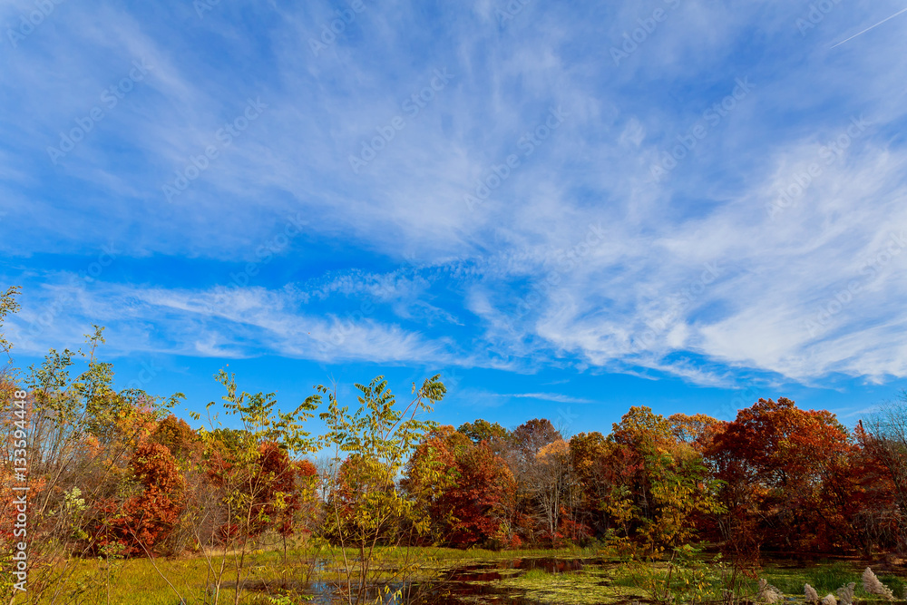 colorful autumn forest lake river sky clouds