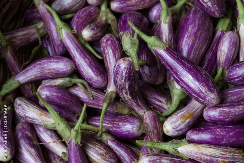 Fresh farmer's market eggplant fall harvest Fresh farmer's market eggplant fall harvest